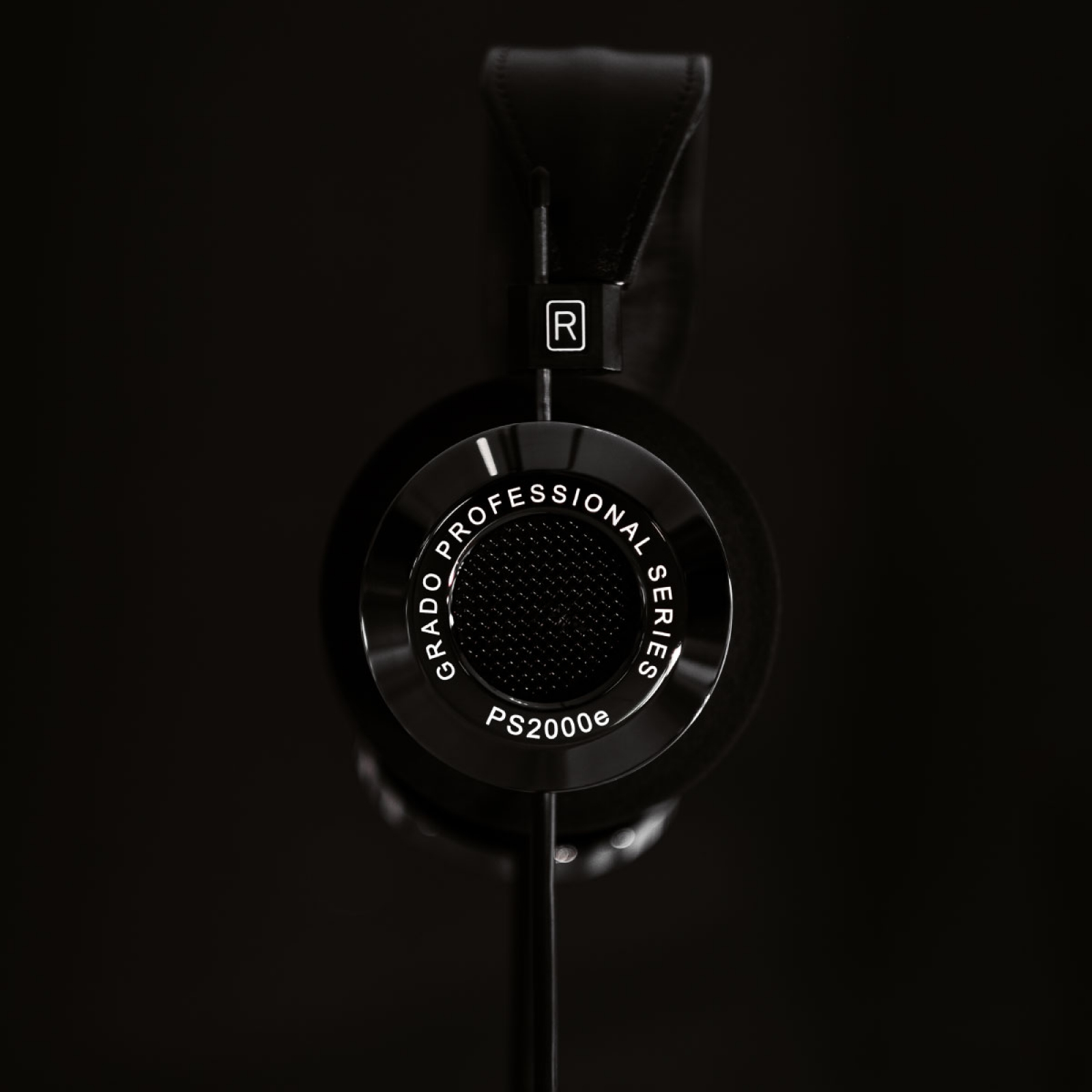 Photo of a Professional Series Headphone